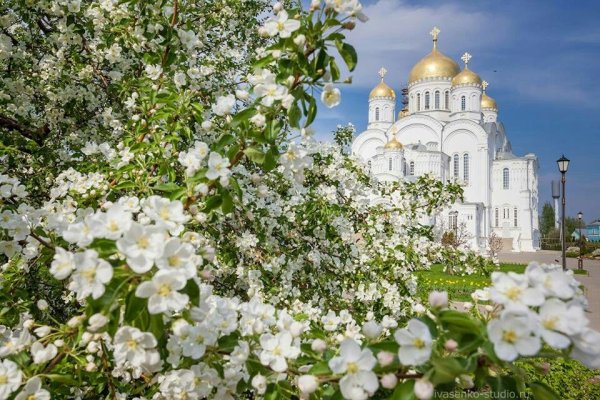 Дивеевский монастырь яблони