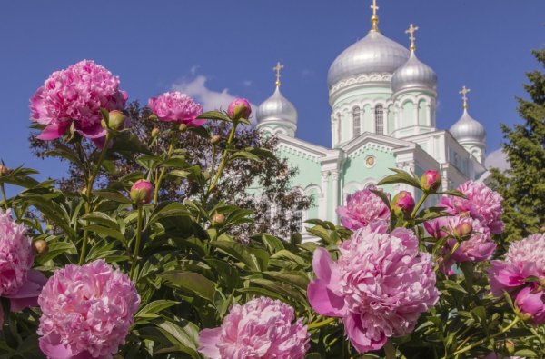 Дивеево монастырь цветы