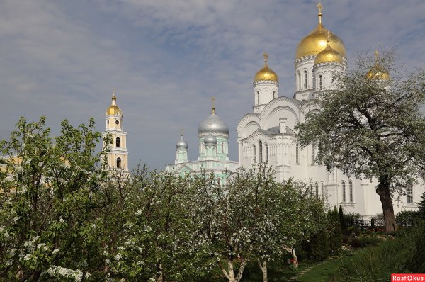 Дивеевский монастырь яблони