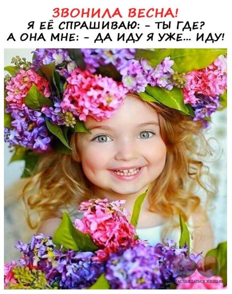Семейная радость цветок