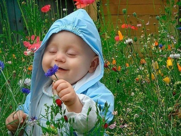 Веселые котики для поднятия настроения