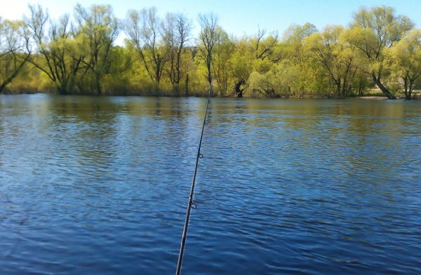 Рыбалка весной