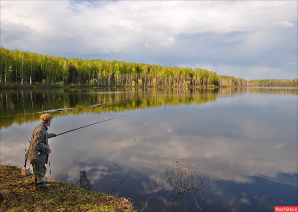 Весна природа рыбалка