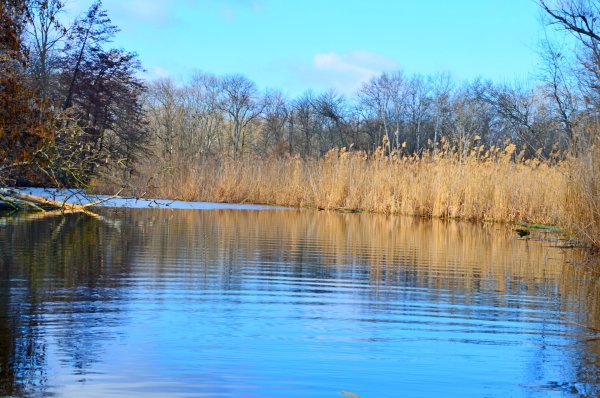 Весна природа рыбалка