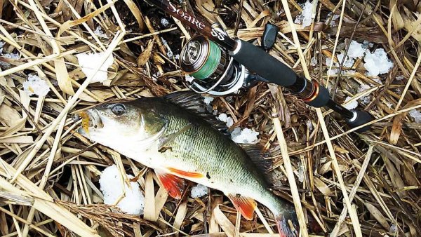 Рыбалка ранней весной