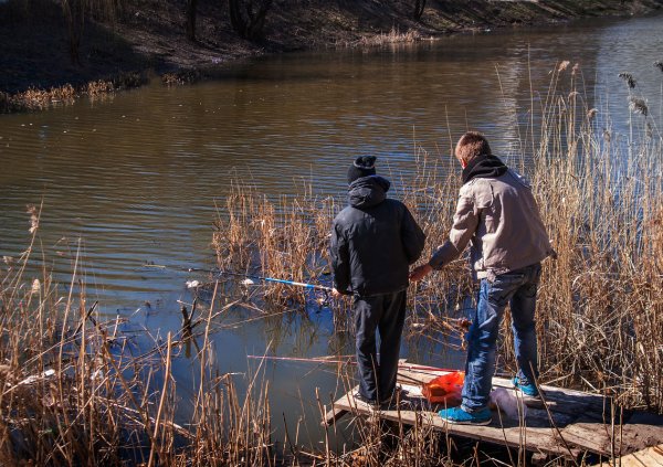 Весенняя рыбалка картинки