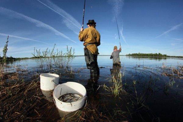 Весенняя рыбалка