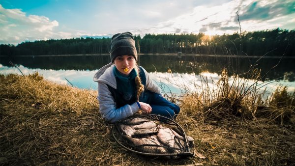 Стая окуней