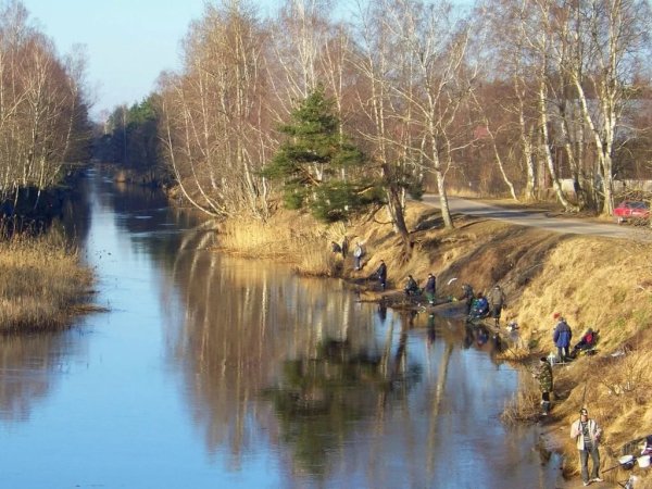 Весенняя рыбалка