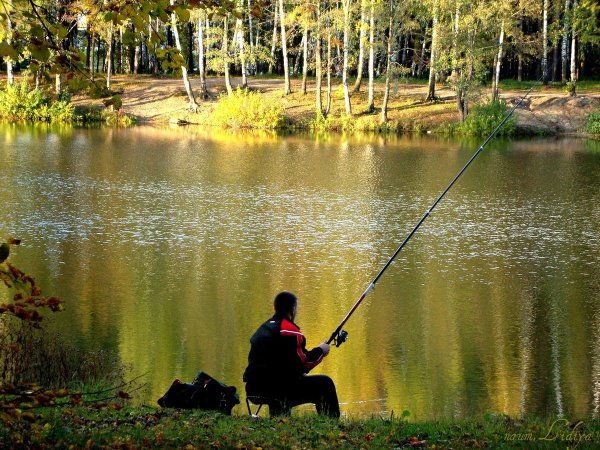 Осень рыбалка