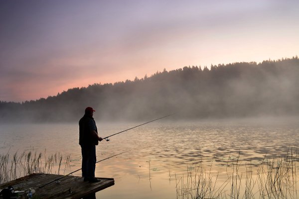 Река Ока рыбалка