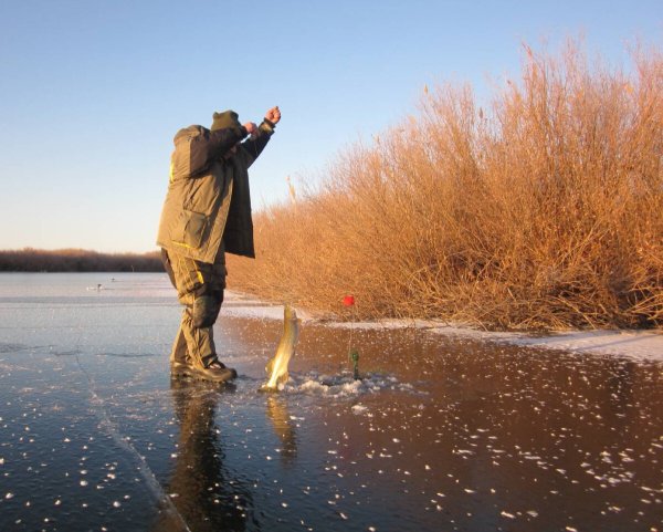Рыбалка Весна Астрахань