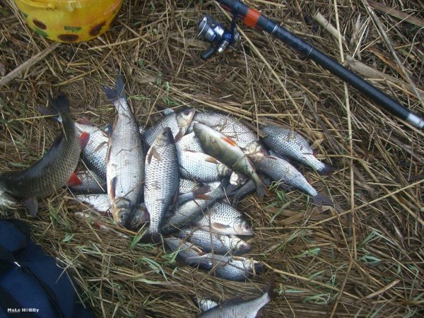 Весна река рыбалка