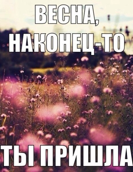 Наконец то Весна пришла