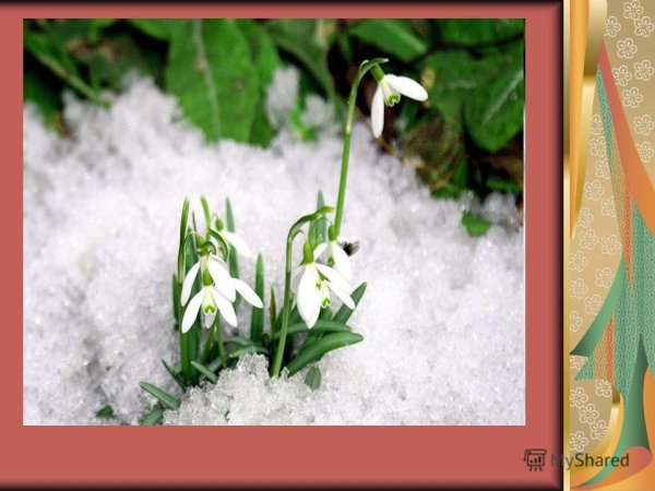Наконец пришла Весна