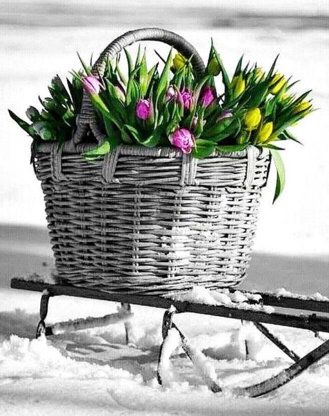 Корзина с цветами на снегу