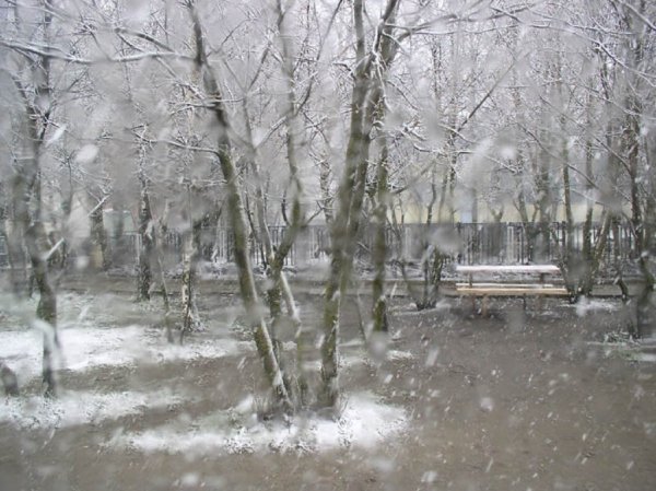 Весенний снегопад