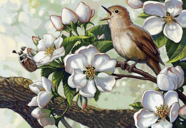 Пётр Редькин иллюстрации