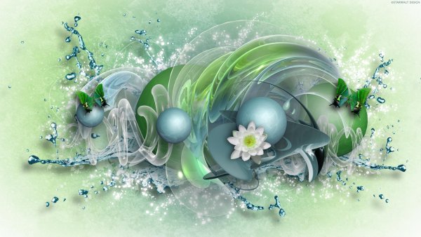 Цветущая яблоня