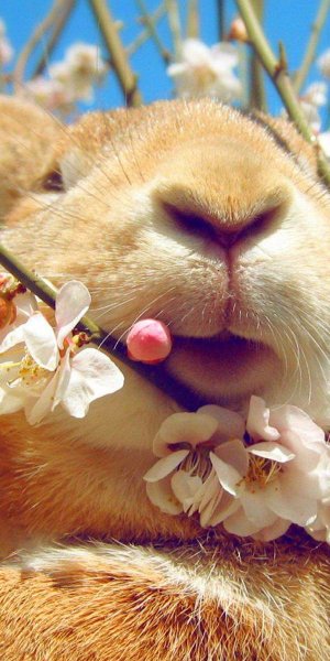 Позитивная Весна