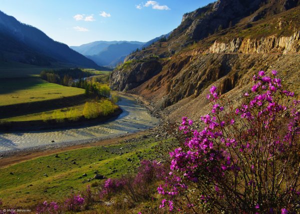 Горы Чемал Катунь