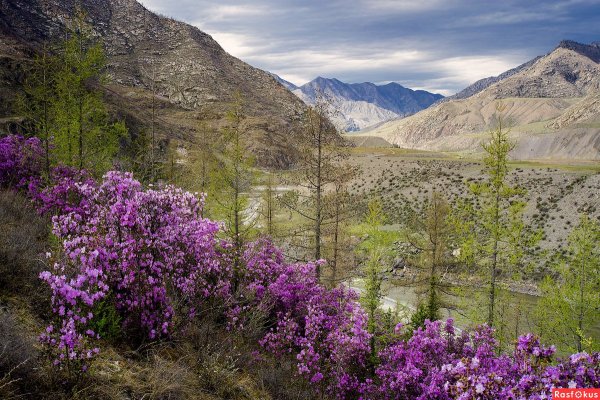 Горно Алтайск в марте
