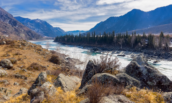 Альпийские Луга Алтая