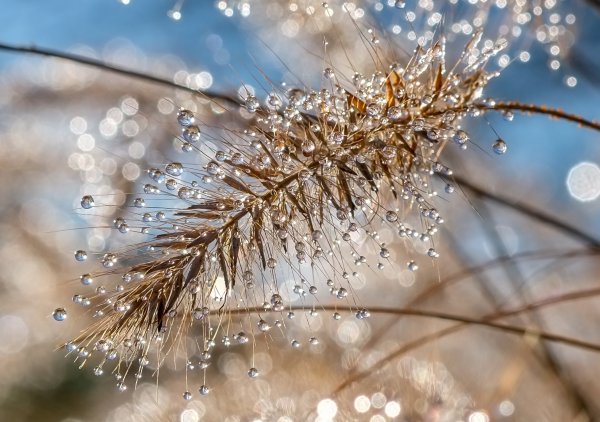 Весна снег капель