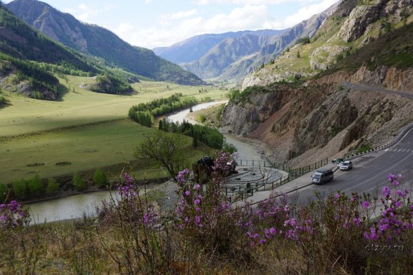 Альпийские Луга Саяны