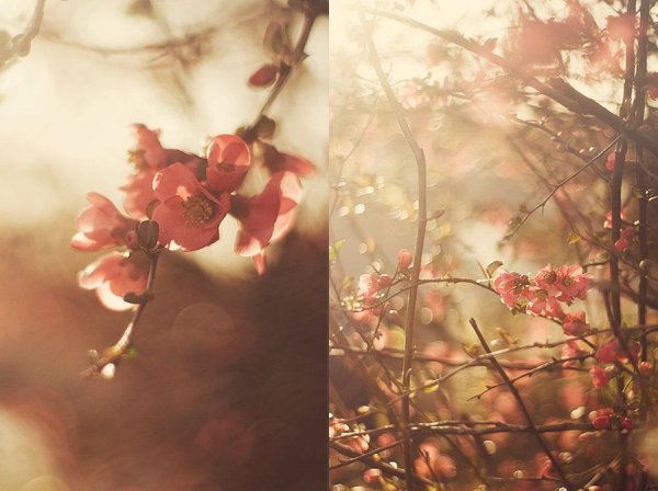 Весенние атмосферные