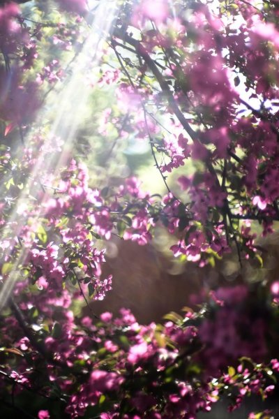 Весенняя атмосфера