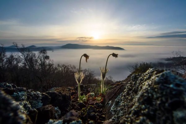 Ранняя Весна солнце