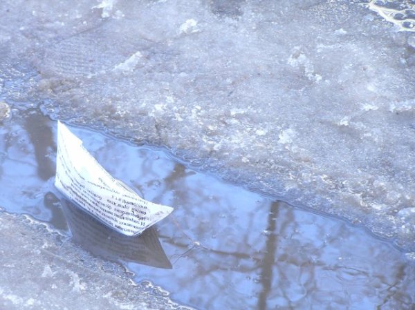 Кораблик в луже