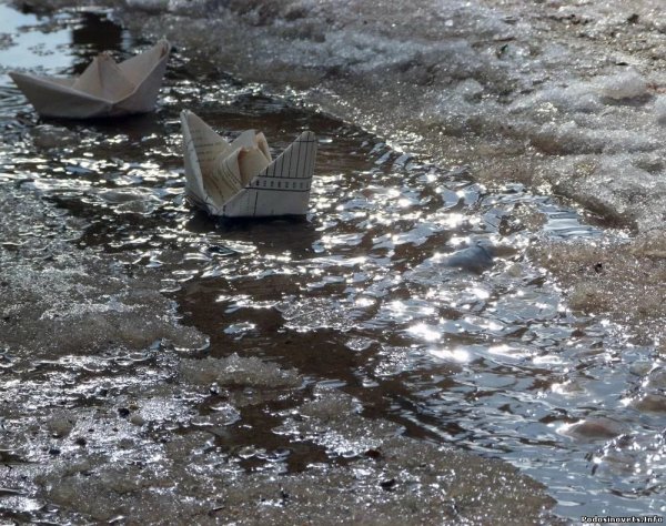 Кораблик в луже