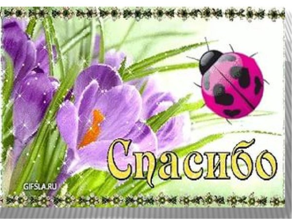 Спасибо с весенними цветами