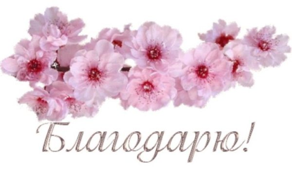 Благодарю надписи