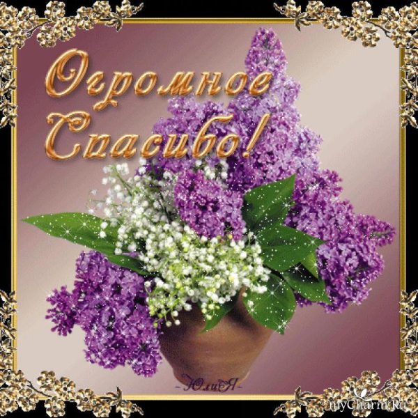 Спасибо анимация