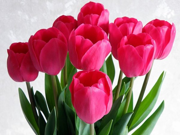 Спасибо за поздравления п другам