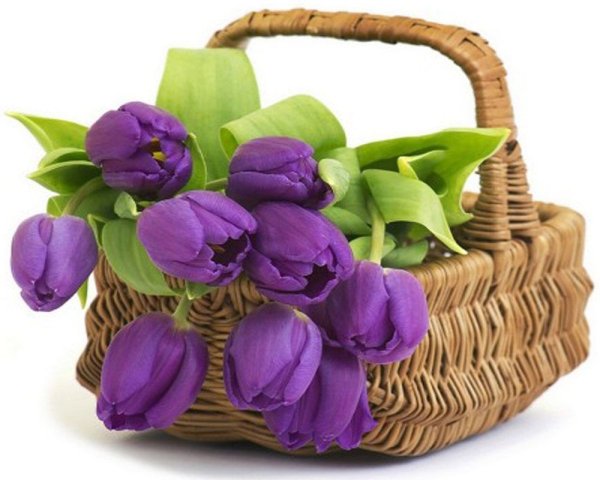 Благодарственные открытки анимашки