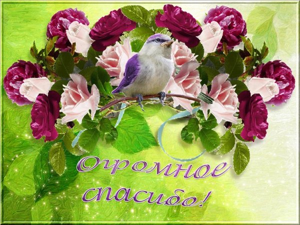 Спасибо букет сирени