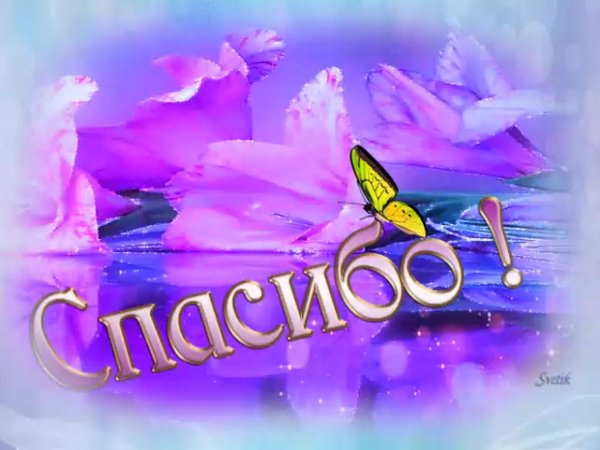 Весенние Стикеры с надписями