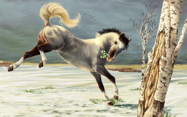 Лошадь на дыбах