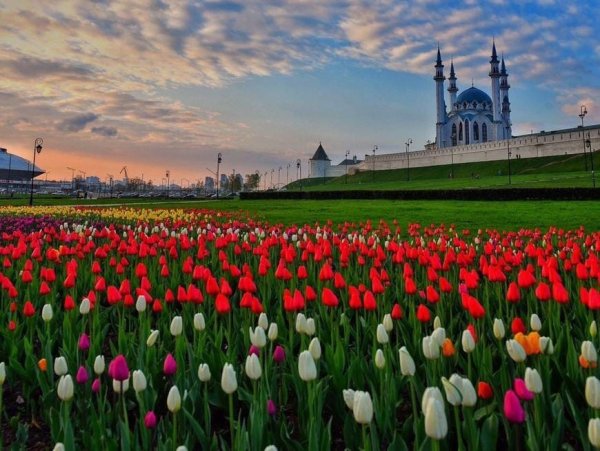 Кул-Шариф Казань и цветы