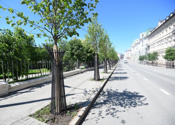 Парк тысячелетия Казань Сакура