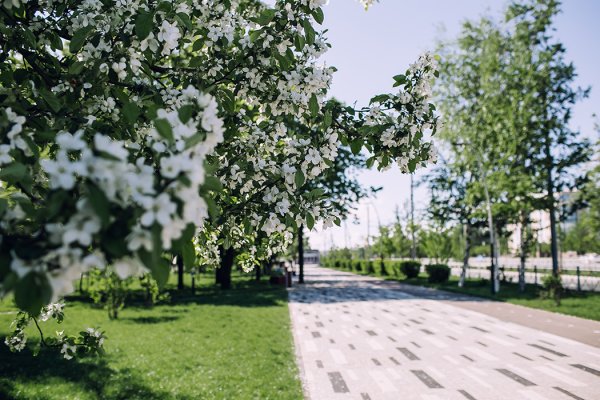 Город Казань дом Вамина