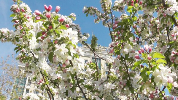 Природа в городе Казань