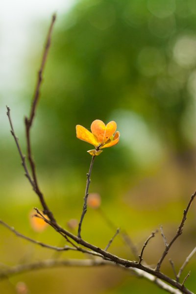Апрель природа