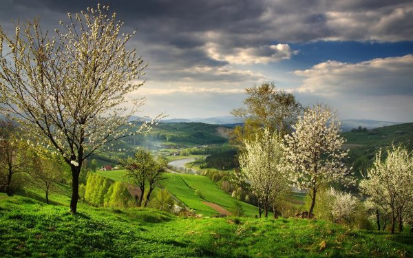 Весенний пейзаж