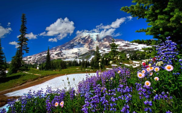 Картина природа