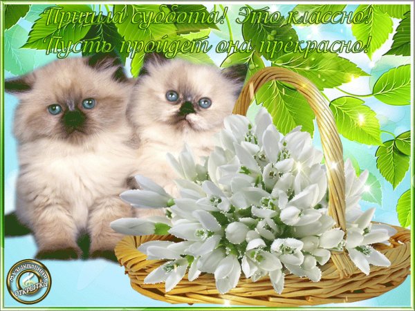 С весенней субботой